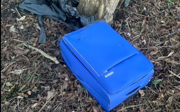 Страшна знахідка посеред центрального парку: діти знайшли в валізі труп жінки