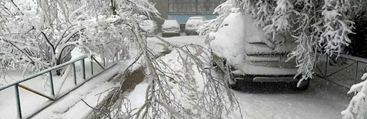 “Такого холоду в Україні не чекав ніхто, прогнозом стривожені навіть синоптики”: де буде мороз у -26 градусів і снігопад?